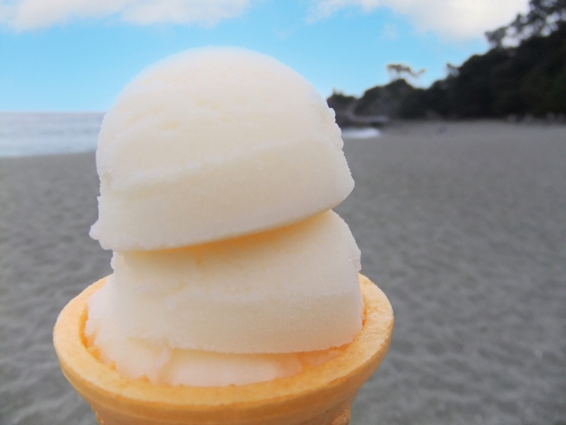 高知名物 アイスクリン