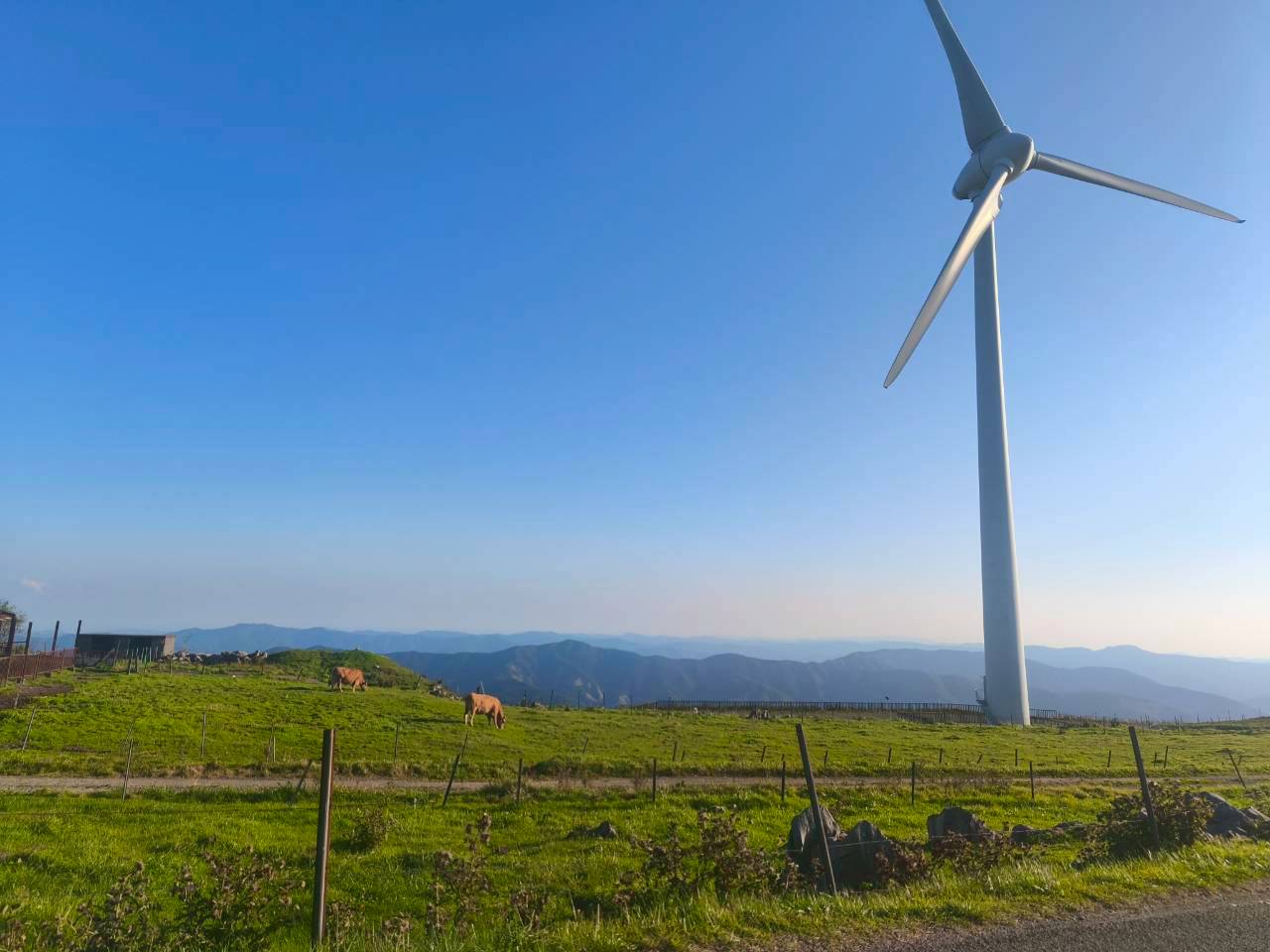 四国 カップル 旅行 モデルコース 愛媛 高知 四国カルスト ドライブ風景