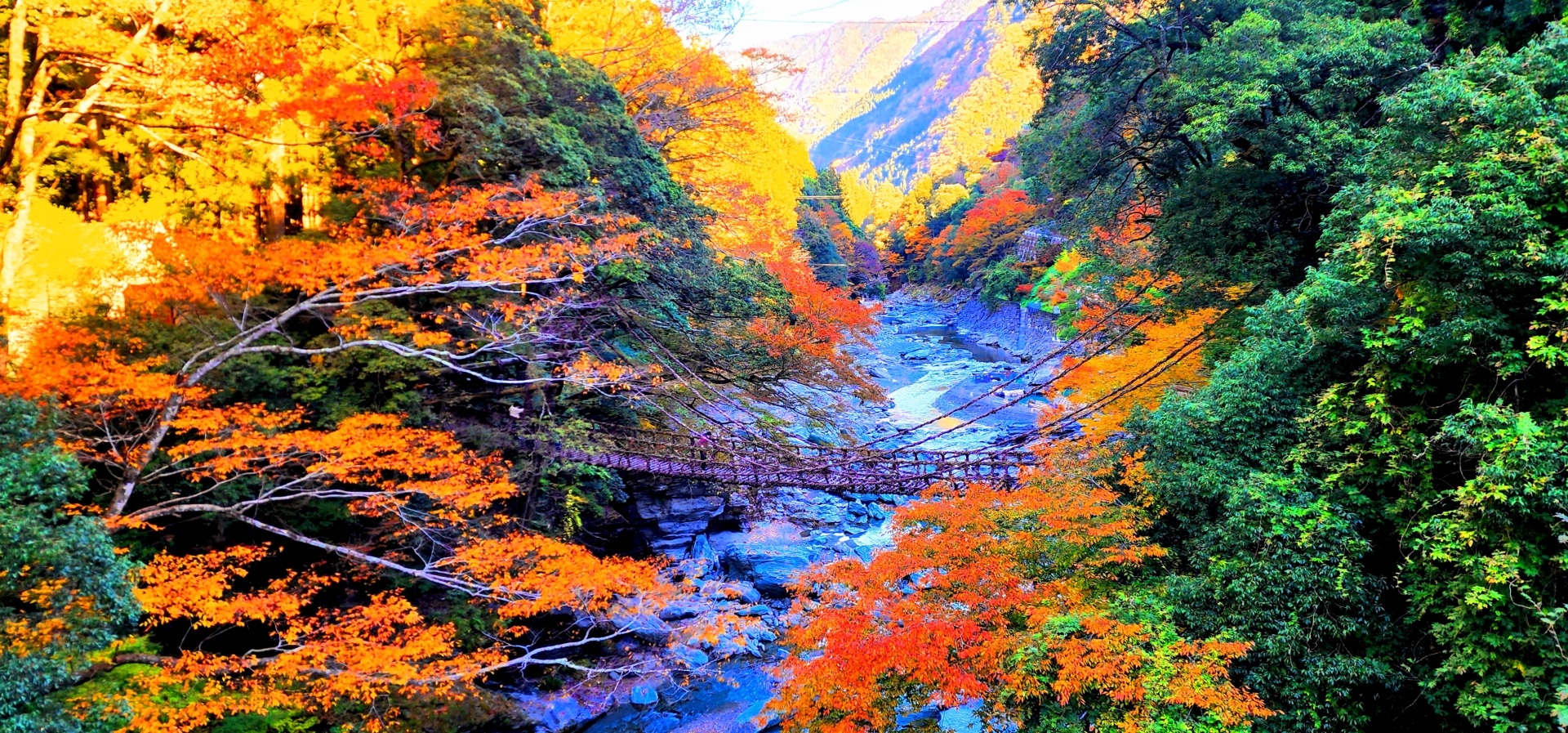 四国 カップル 旅行 モデルコース 徳島 祖谷のかずら橋 ドライブ